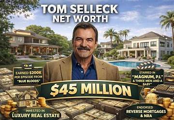 Tom Vize Net Worth