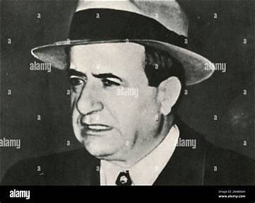 Tommy Lucchese Net Worth