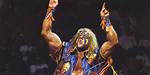 Ultimate Warrior Net Worth