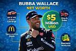 Wallace Merck Net Worth