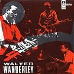 Walter Wanderley Net Worth