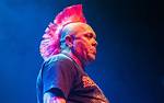 Wattie Buchan Net Worth