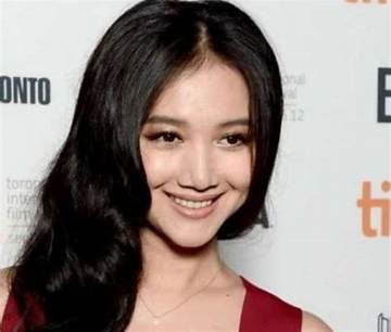 Wenwen Han Net Worth