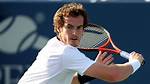 Will Murray Net Worth