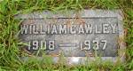 William Cawley Net Worth