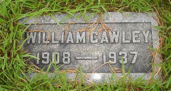 William Cawley Net Worth