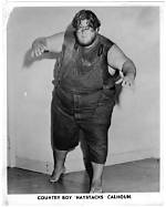 William ‘Haystacks’ Calhoun Net Worth