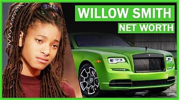 Willow Geer Net Worth