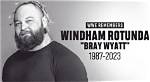 Windham Rotunda Net Worth