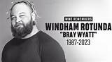 Windham Rotunda Net Worth