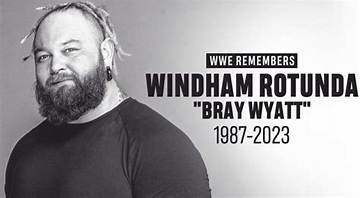Windham Rotunda Net Worth