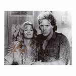 Wings Hauser Net Worth